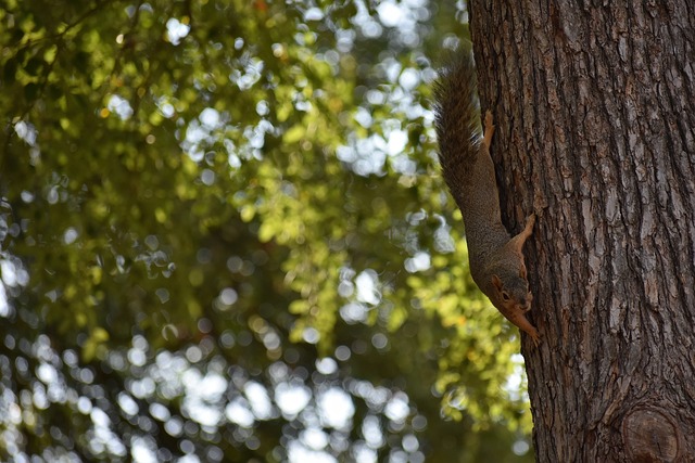 从精准的配 从精准的配