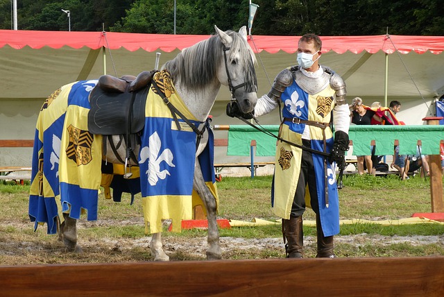 提供了宝贵 提供了宝贵