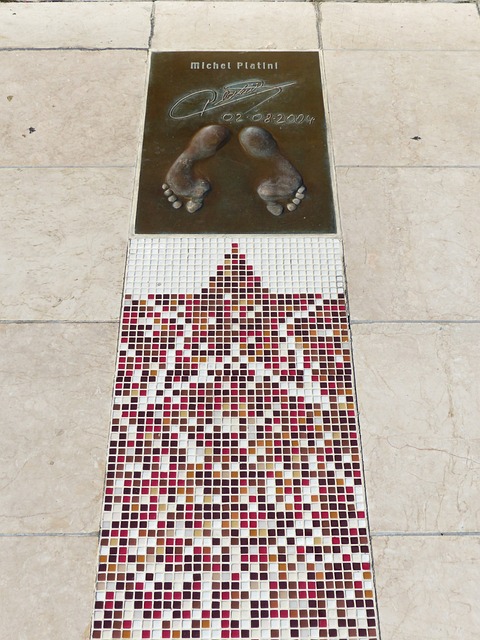 这既提升了 这既提升了