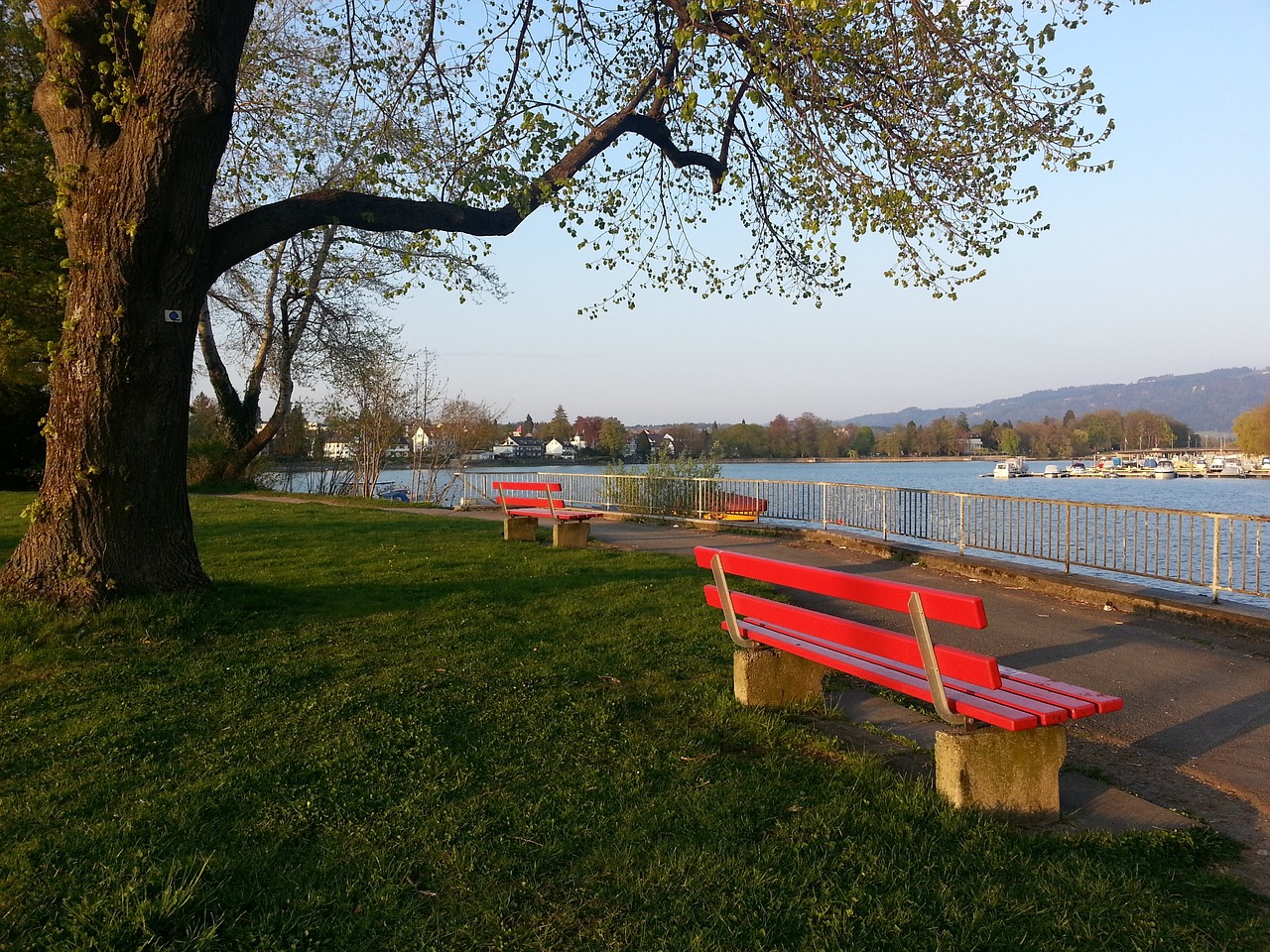 的比赛中燃 的比赛中燃